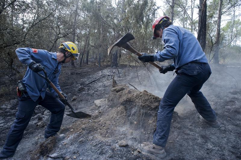 Bomberos de la Generalitat trabajan en la zona quemada por el incendio declarado anteayer en Vilopriu (Girona) para evitar que se reavive el fuego.