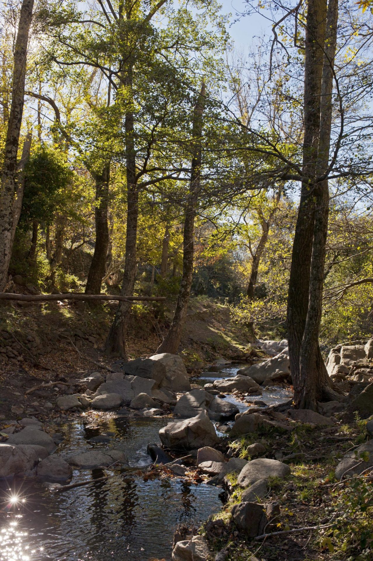 Un porcentaje se dedicará a las actividades previstas en la Estrategia de Protección del Patrimonio Natural y la Biodiversidad.