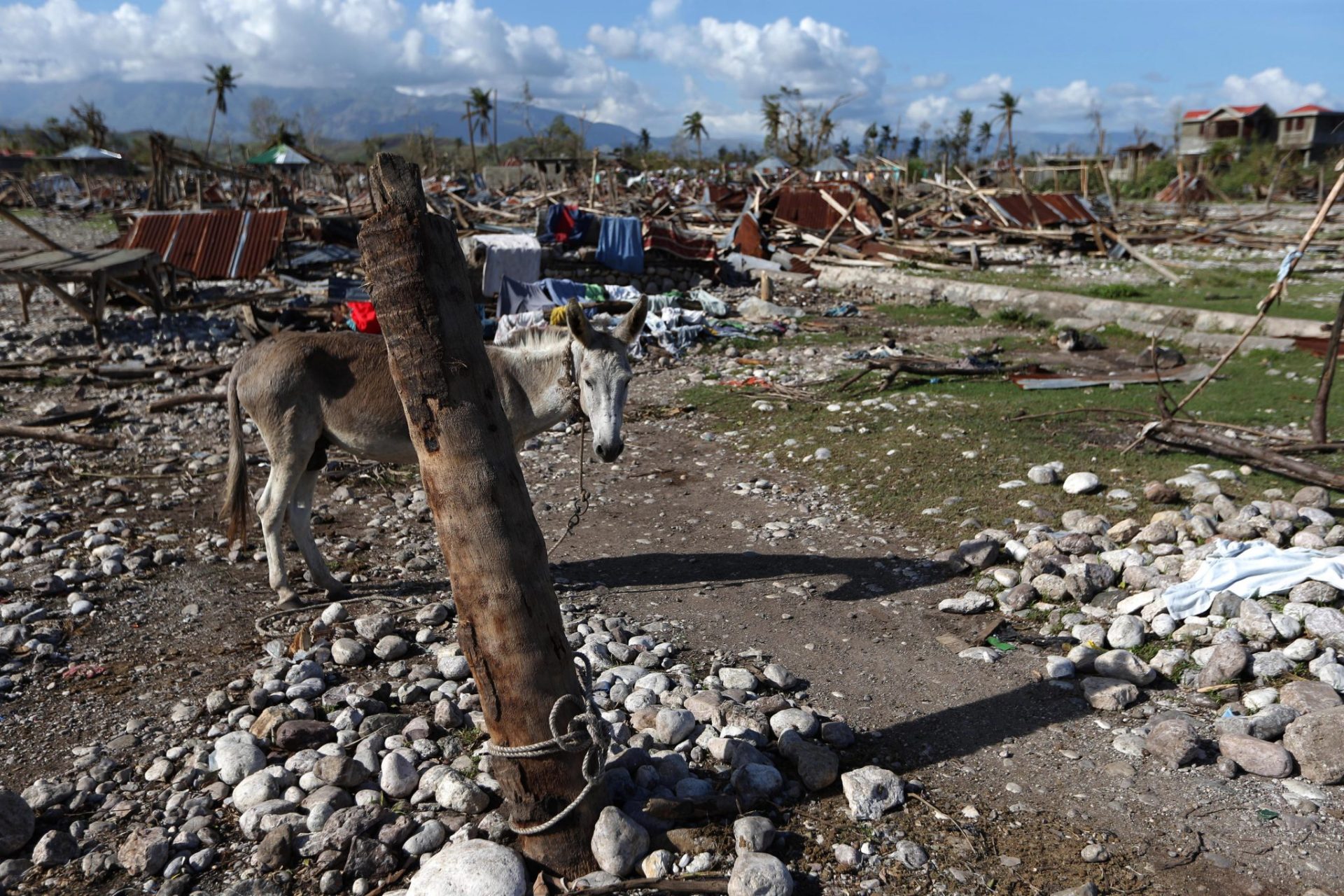 Destrucción tras el paso de Matthew en Haití.