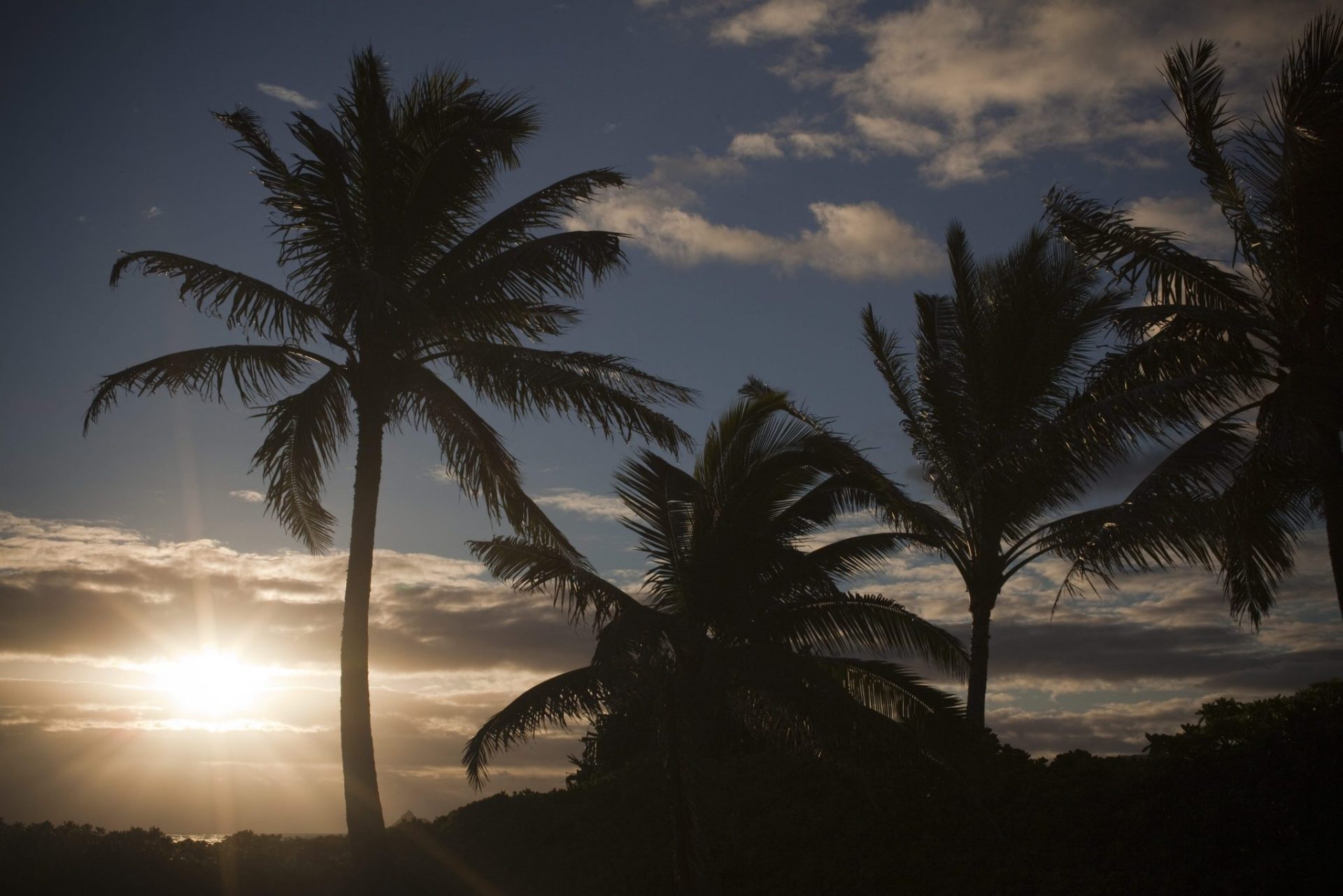 Hawai, desde hoy la mayor reserva marina del planeta.