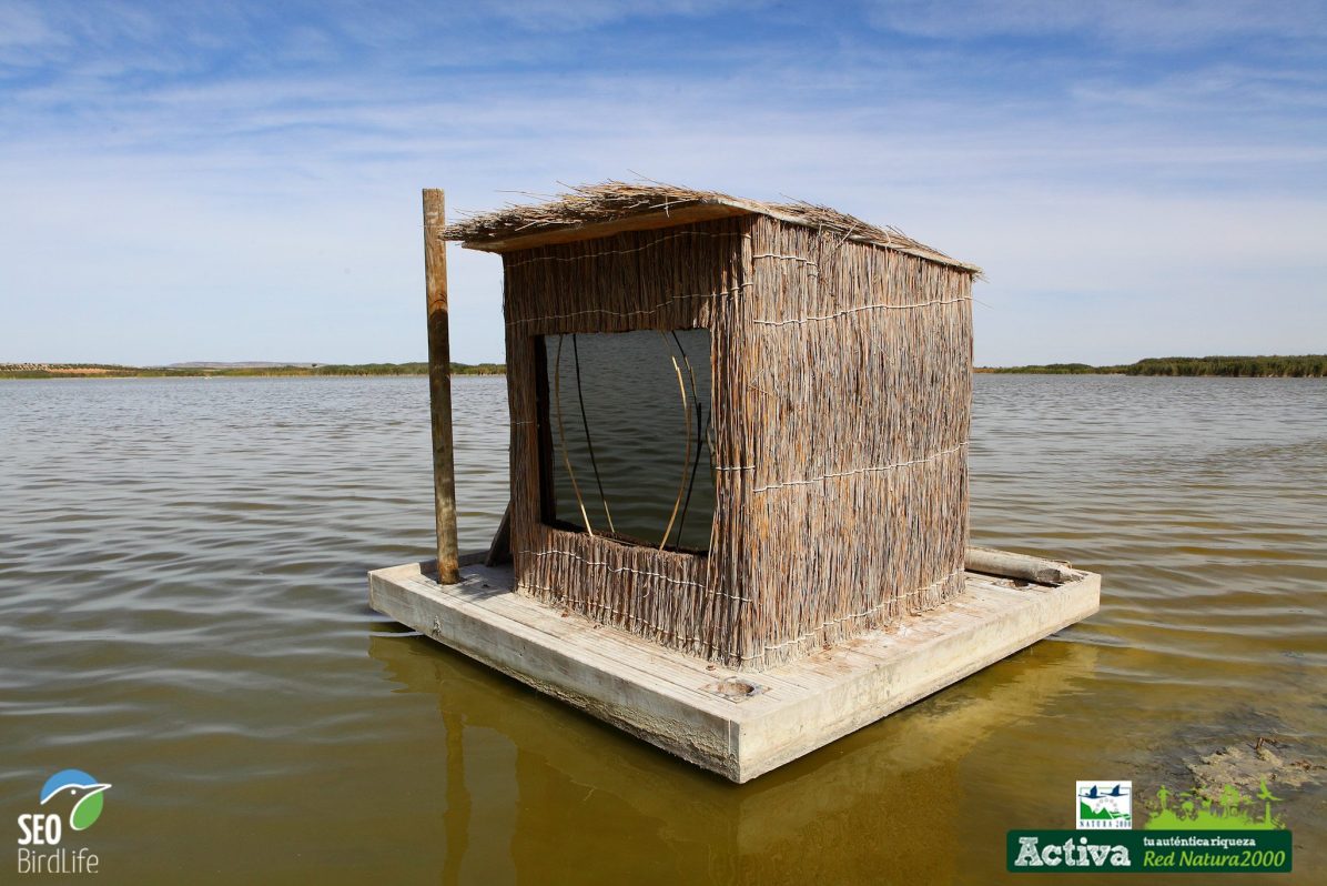 Hide en la finca El Taray. Humedales de La Mancha. Imagen cedida por SEO/BirdLife