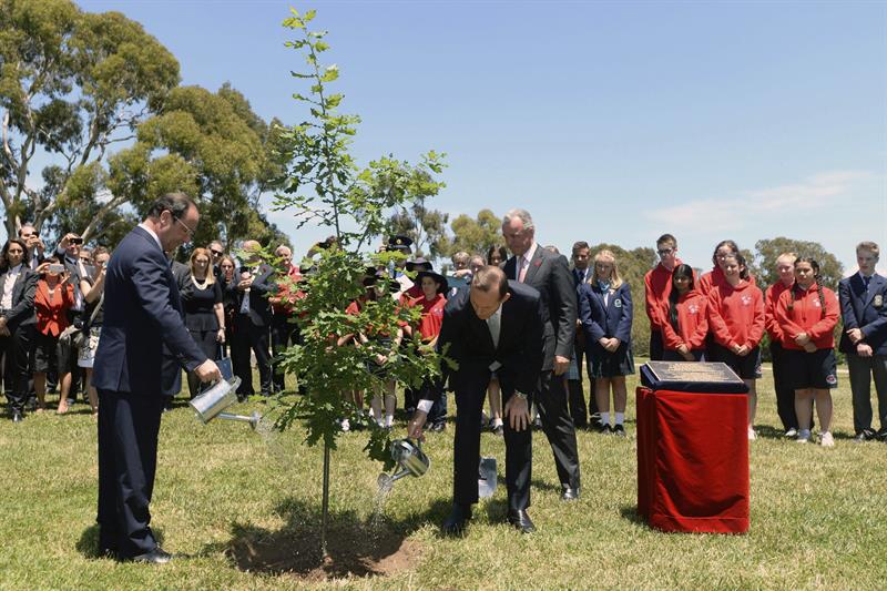 Hollande planta un árbol en Canberra (Australia)