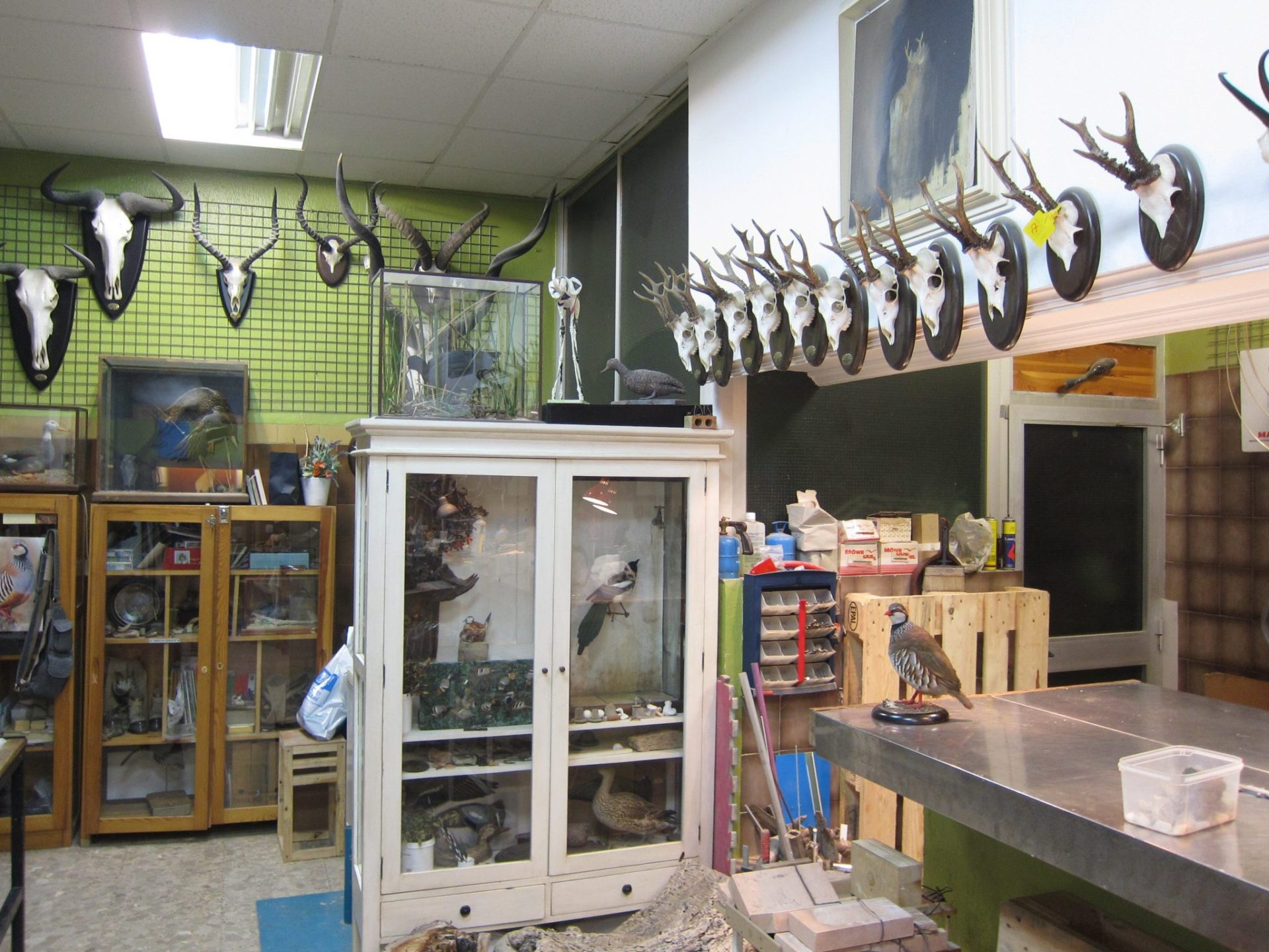 Madrid.- Taller de taxidermia.EFE