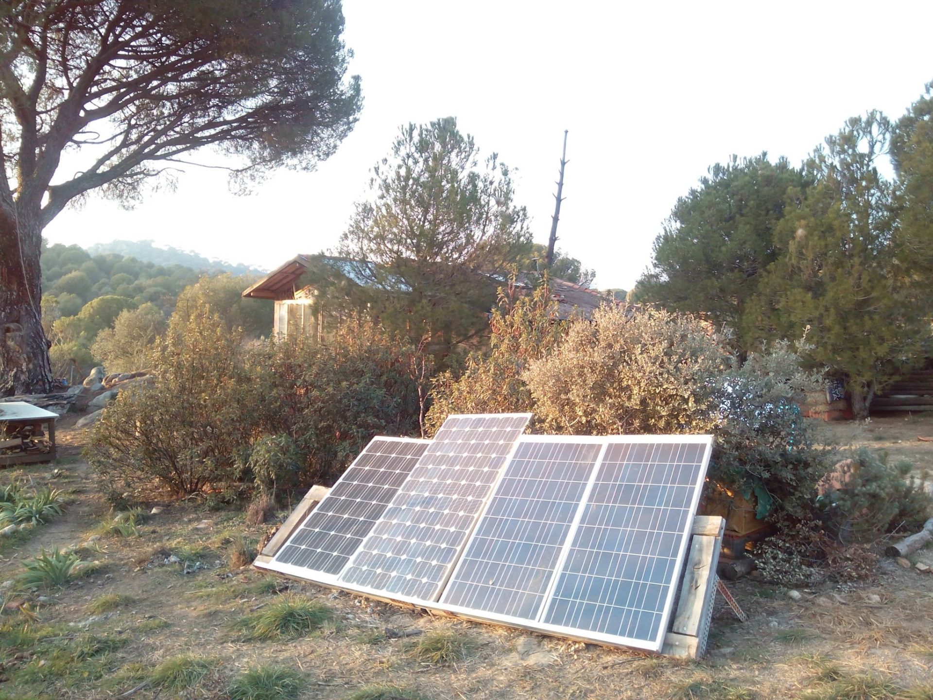 Paneles o placas solares. Foto: Ambrosius Siegel para EFEverde