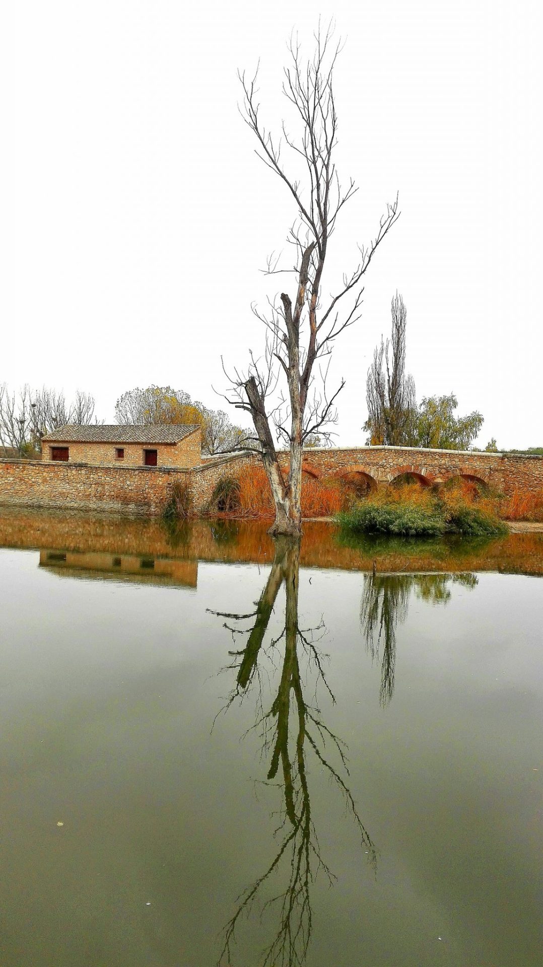 Parque Nacional de Las Tablas de Daimiel. Foto: Raúl Casado (EFE)