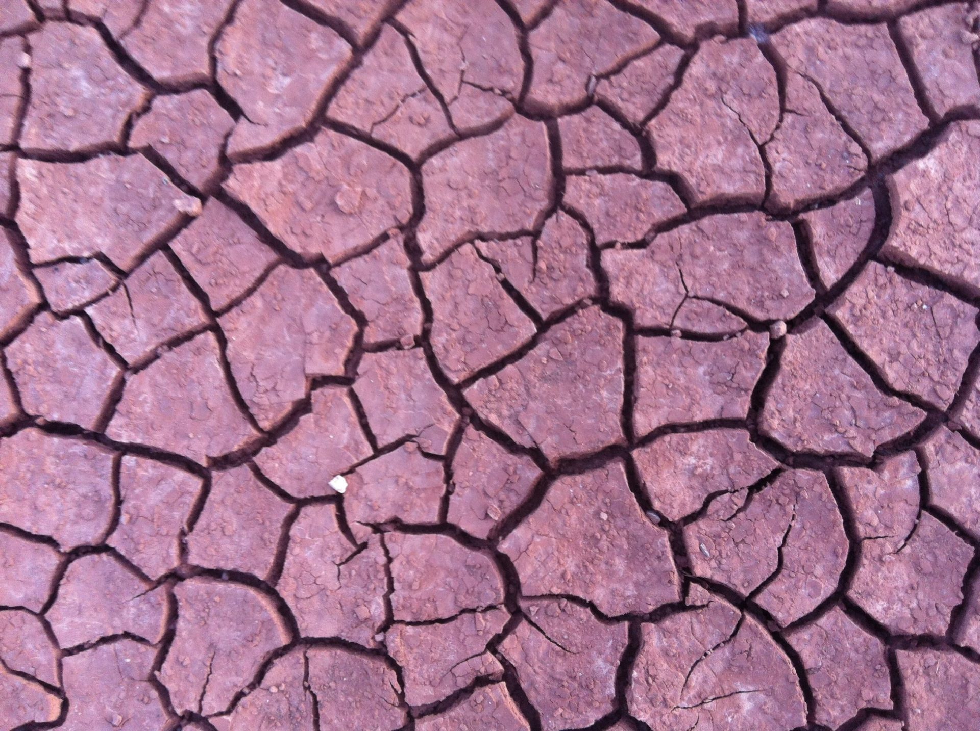 Sequía. Fotografía de @arturolarena para Life Infonatur de EFEverde