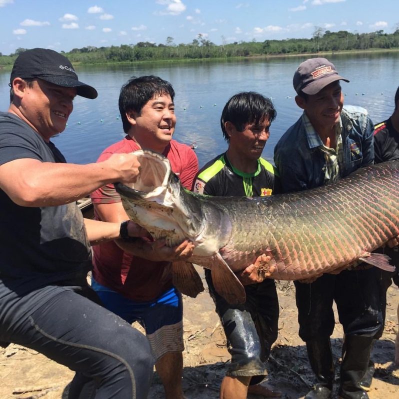 Cedida por AMPA / Amazónicos por la Amazonía