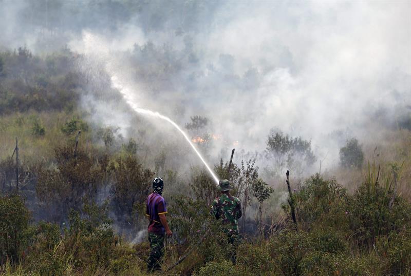 Bomberos intentan extinguir las llamas en un incendio forestal en la Indralaya en el Sur en Indonesia EFE/Adi Weda