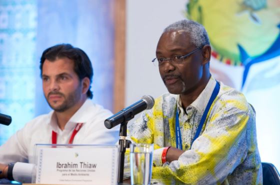 "El tiempo apremia y debemos dotarnos de un plan de acción adecuado", dijo el director adjunto del Programa de la ONU para el Medio Ambiente (PNUMA), Ibrahim Thiaw, en la inauguración de la COP13.