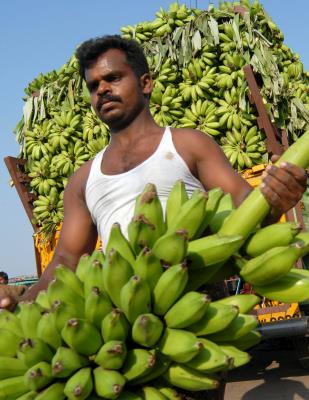 FAO quiere apoyar a los países en desarrollo a mejorar para reducir los costos de conservación de la biodiversidad para campesinos, ganaderos, pescadores y silvicultores. 