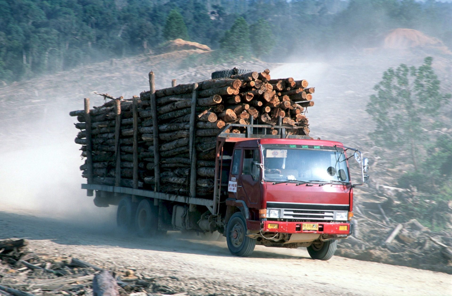 Un camión con troncos talados de forma ilegal en un punto de Riau (Sumatra)
