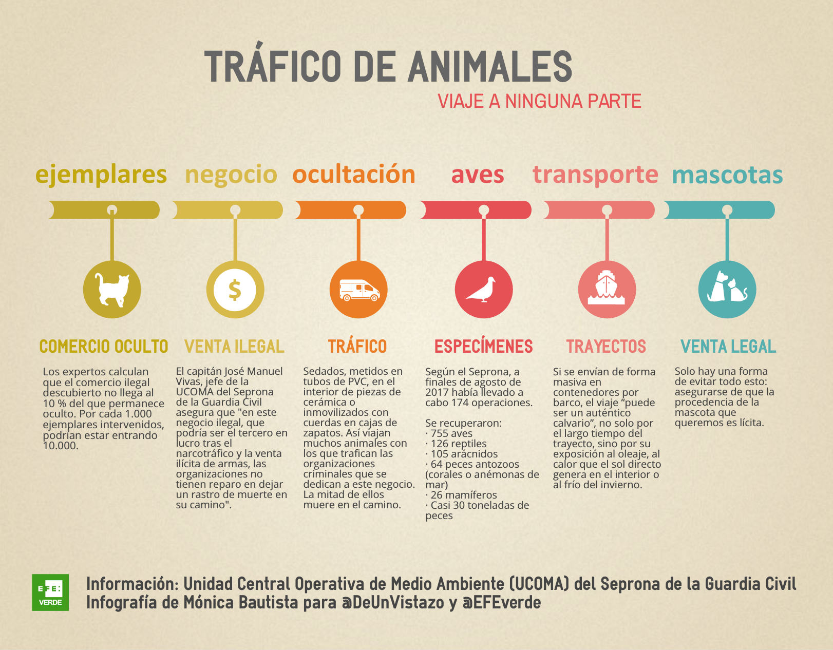 Infografía tráfico animales. EFE-Mónica Bautista