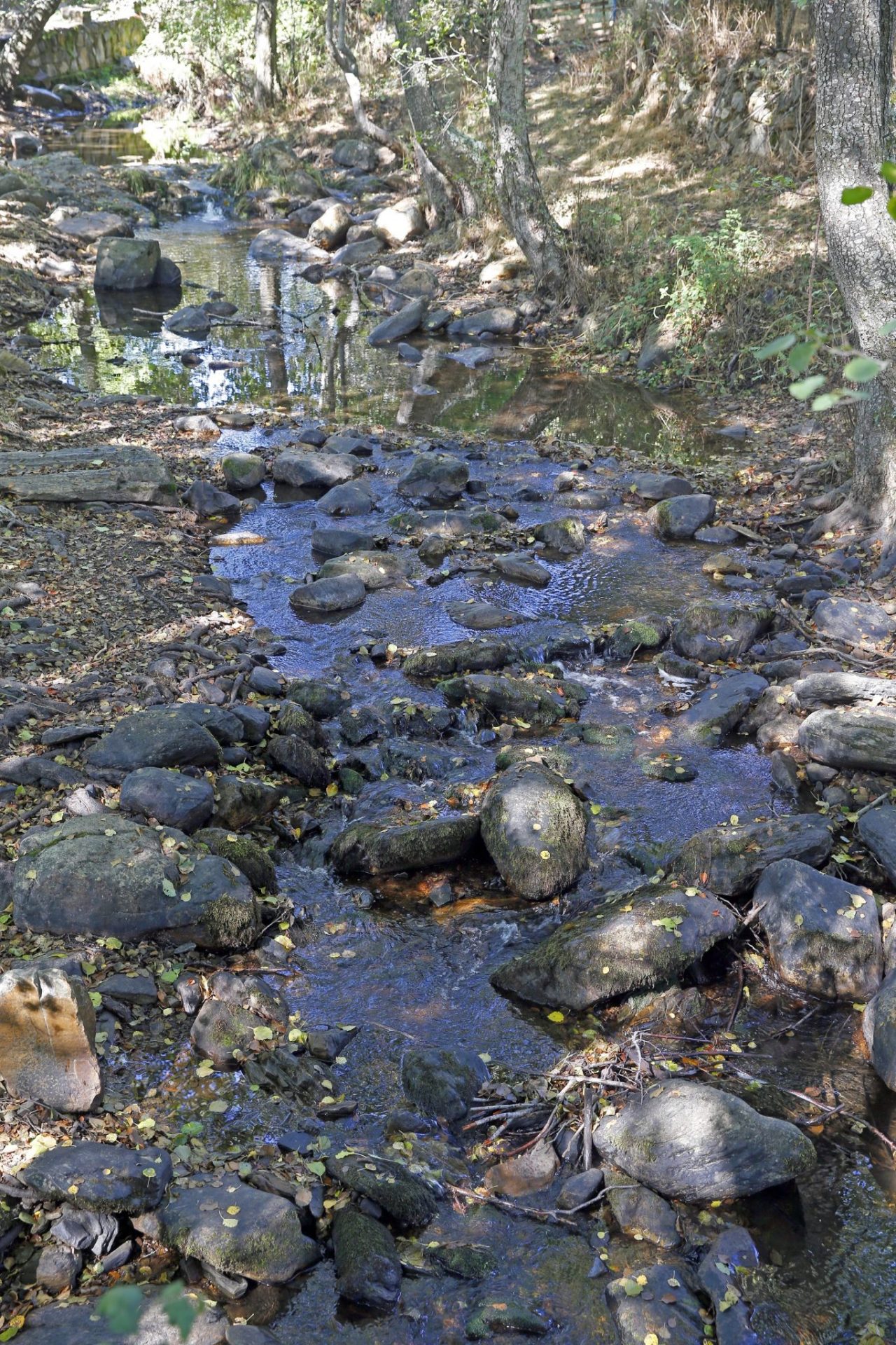 Arte y naturaleza se fusionan en el Valle de los Sueños, en la localidad madrileña de Puebla de la Sierra, un espacio de la red Natura 2000 declarado Reserva de la Biosfera por la Unesco. Foto: JJ Guillén (EFE).