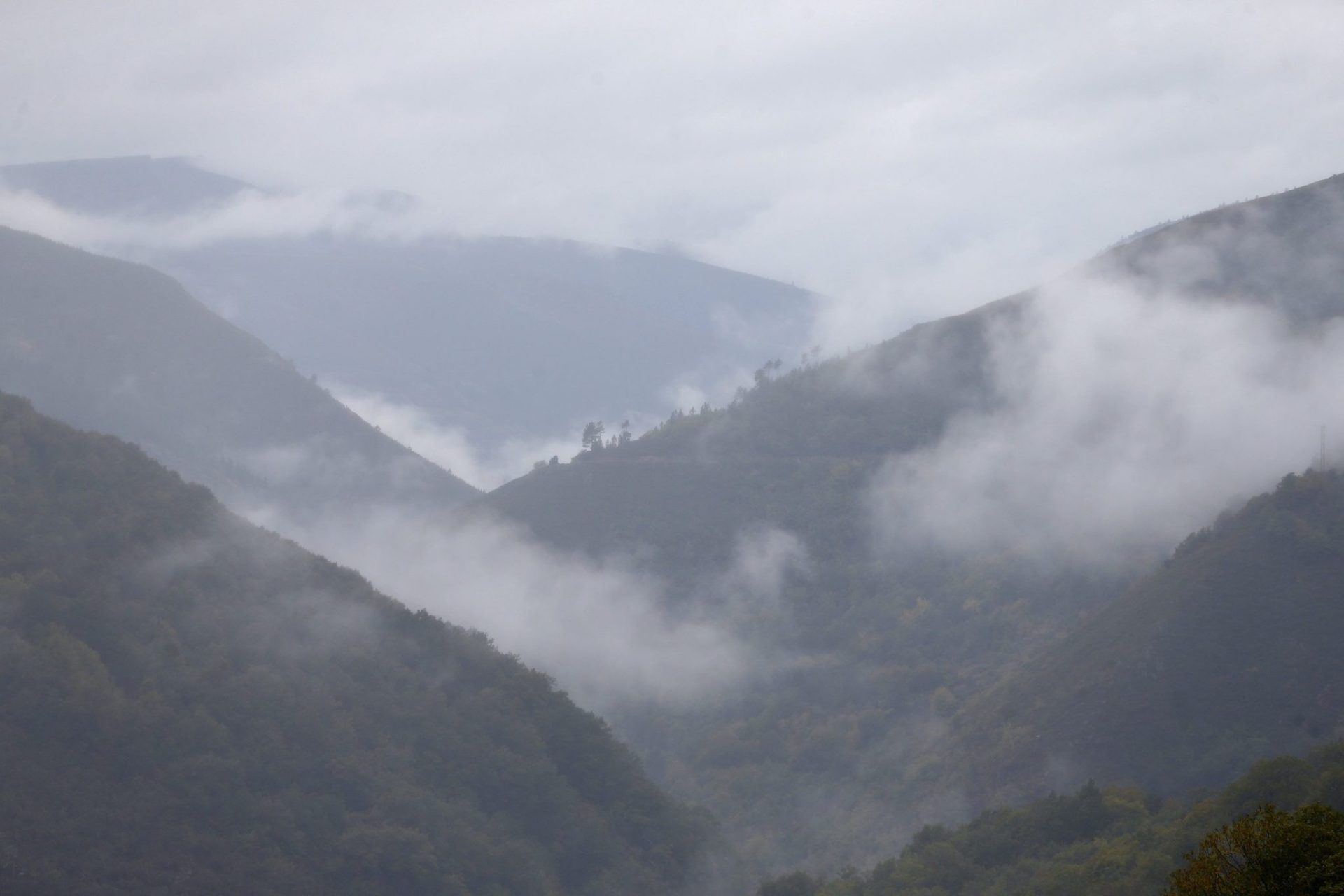 Muniellos (Asturias) reúne unas condiciones ecológicas excepcionales, y aunque es todavía uno de los lugares más recónditos y desconocidos de la península, han surgido durante los últimos años iniciativas turísticas que tratan de rentabilizar sus recursos naturales de una forma completamente respetuosa con el entorno. Foto: JJ Guillén
