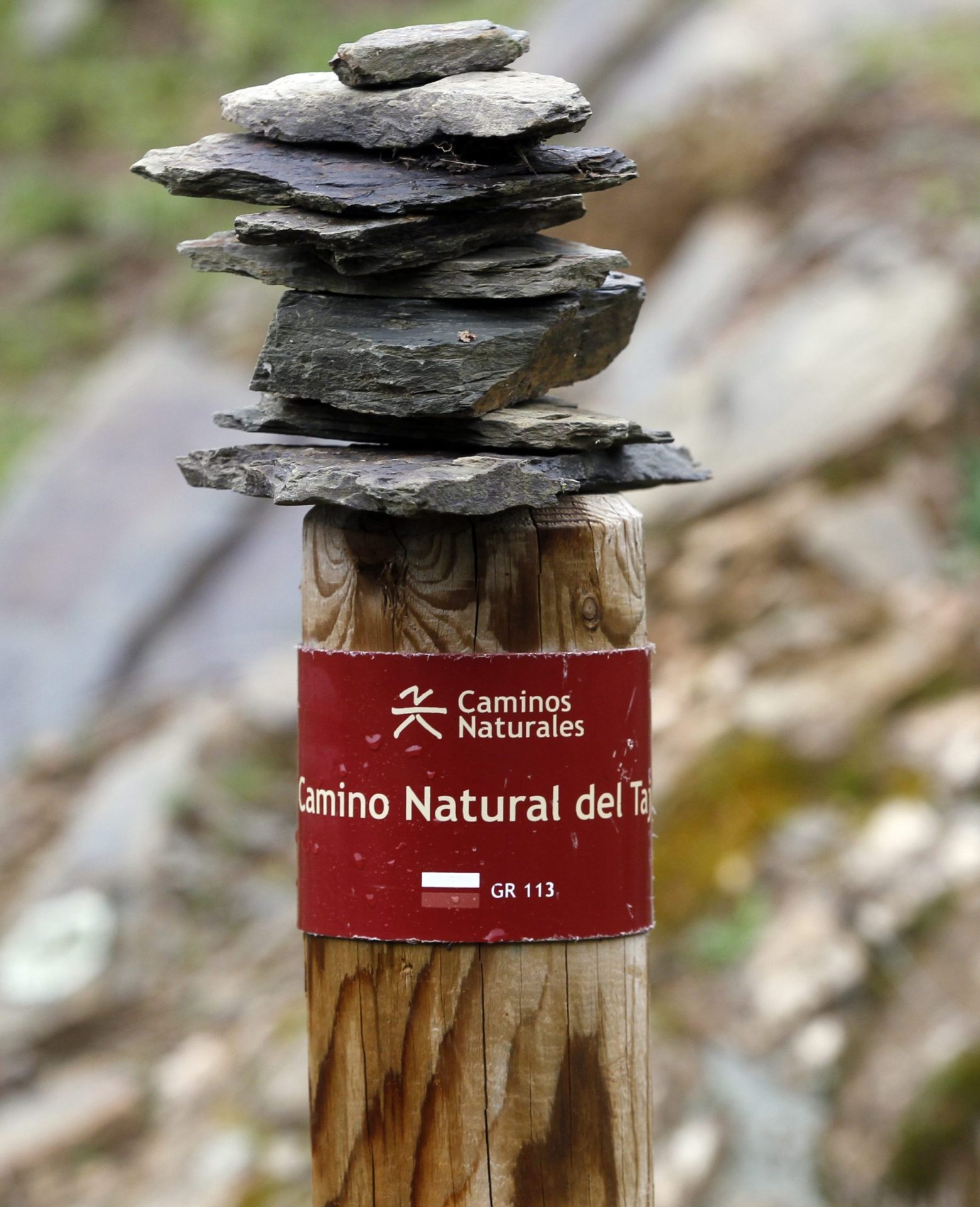 El ecoturismo (turismo rural, de paisaje y de naturaleza) supone casi el 6 por ciento de los ingresos y de las pernoctaciones del conjunto del mercado turístico español, frente al 66 por ciento del turismo de "sol y playa". FOTO: J.J. Guillén/EFE