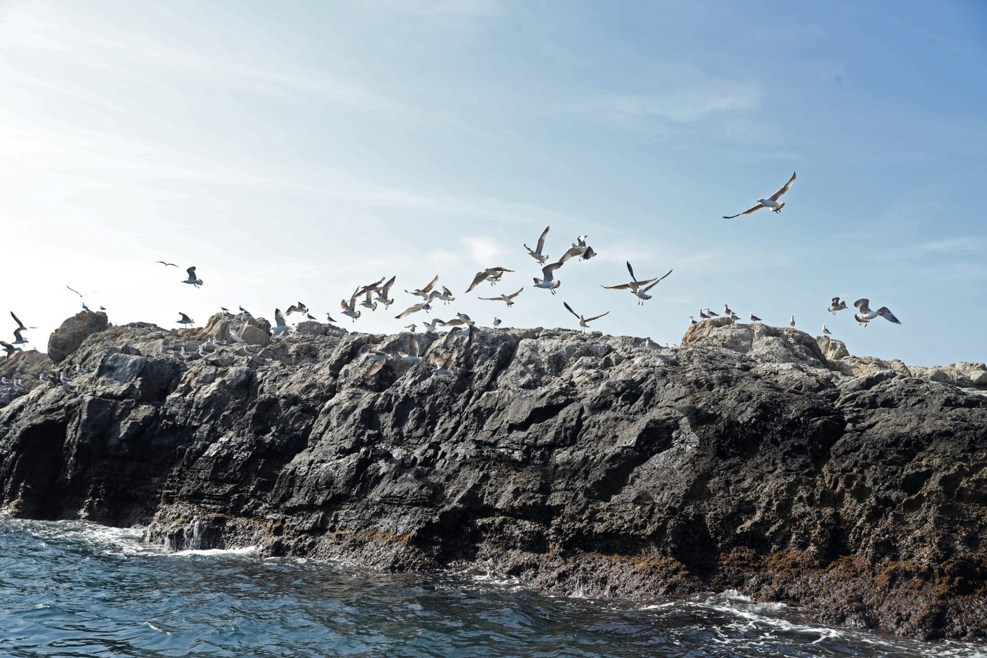Cabo de Palos-Islas Hormigas se ha convertido en un santuario mundial para el buceo, una actividad plenamente compatible con la pesca artesanal y el turismo sostenible. Foto: JJ Guillén (EFE).