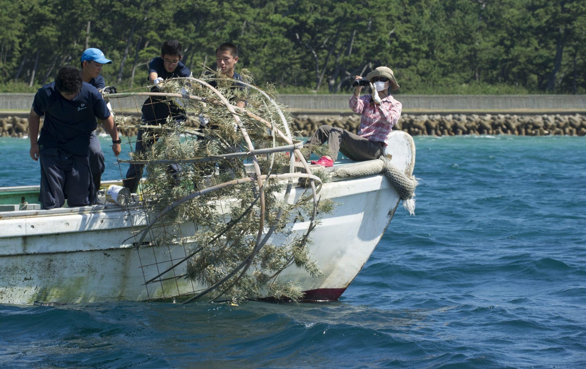 Voluntarios y pescadores lanzan al mar arrecifes hechos con bambú local.