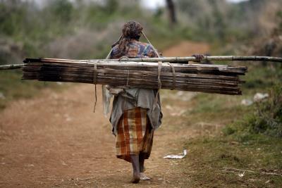 Una mujer acarrea cañas de bambú para la construcción de sus chozas en  Kurbanyat (Kenia). 