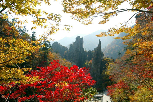 Corea del Norte busca aspira a que su monte Kumgang sea Reserva de la Biosfera.