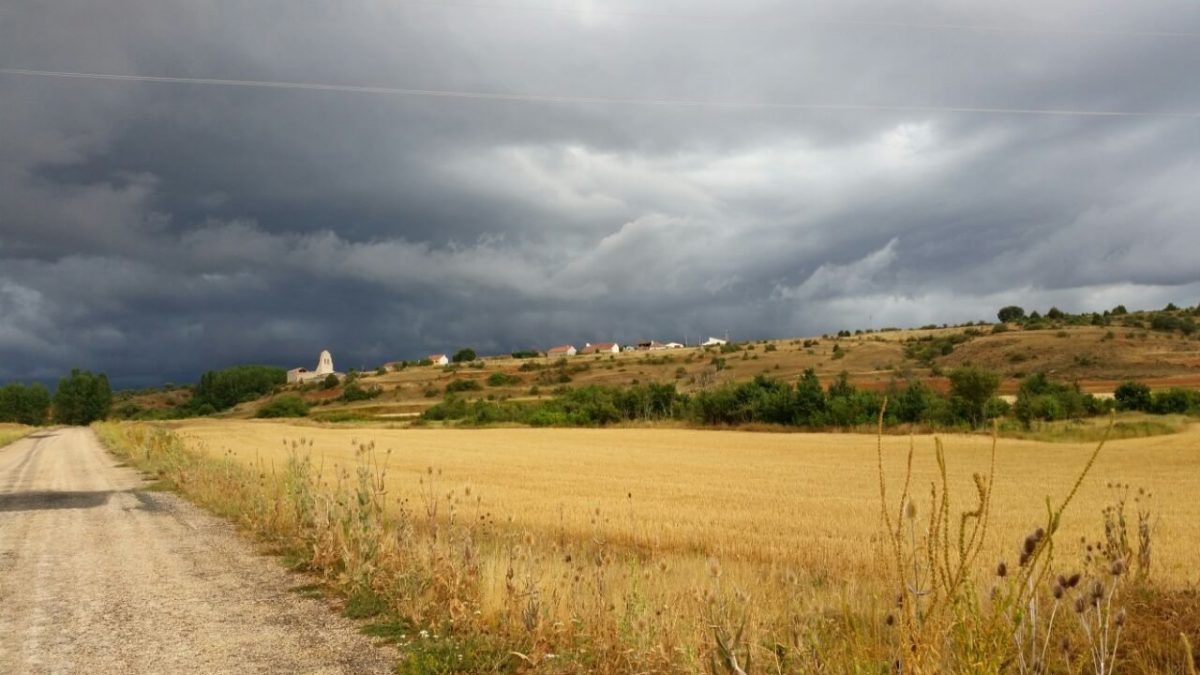 Paisaje de La Mallona (Soria). Imagen cedida por Julia Soria