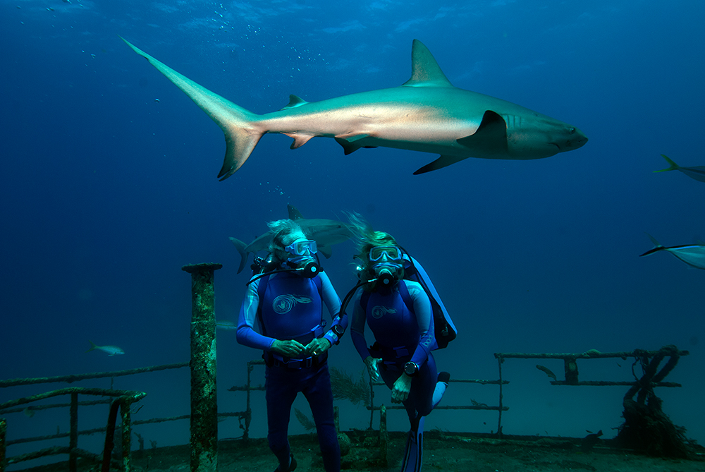 LasMaravillasDelMar3D