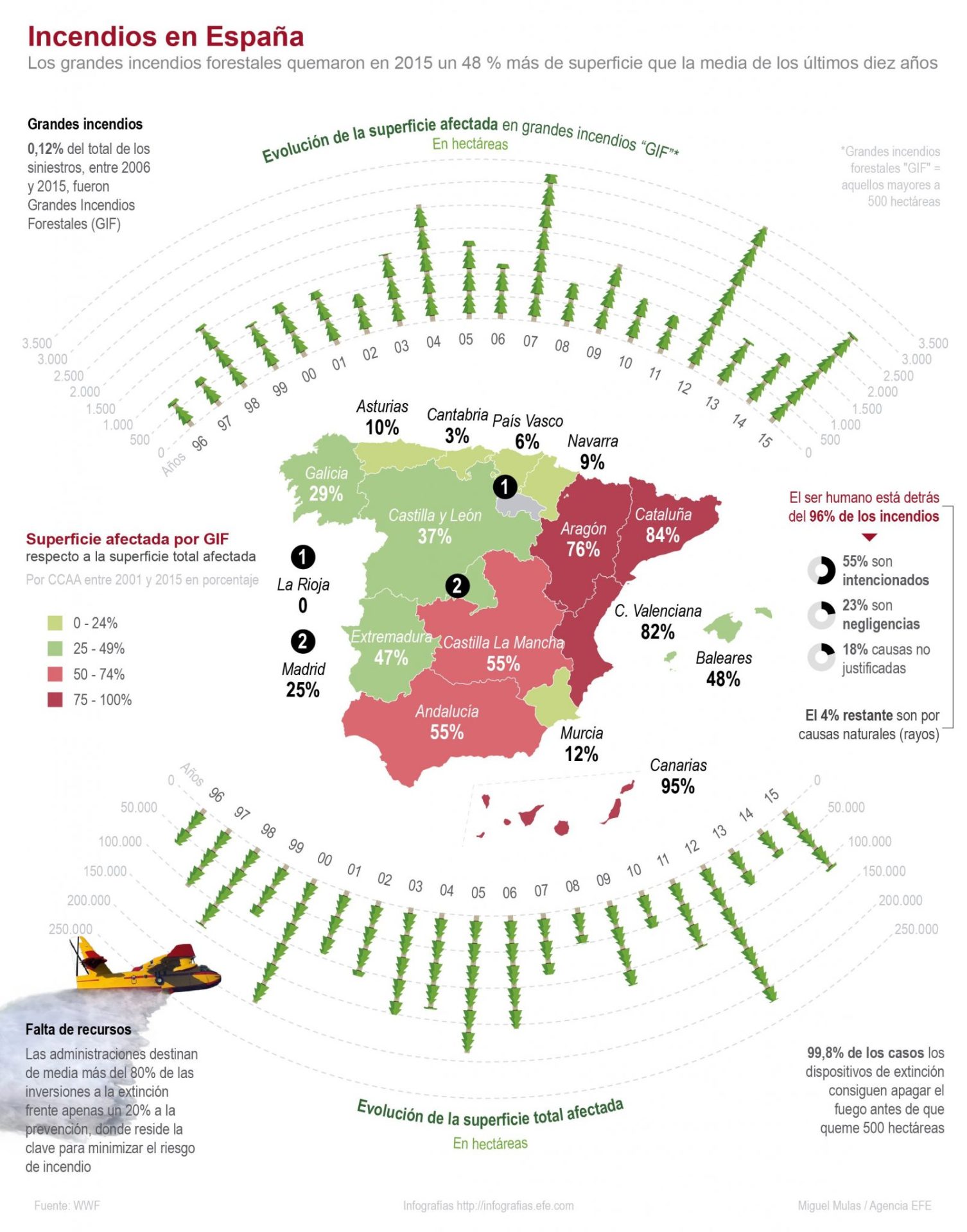  Los grandes incendios forestales quemaron en 2015 un 48 % más de superficie que la media de los últimos diez años. (EFE)