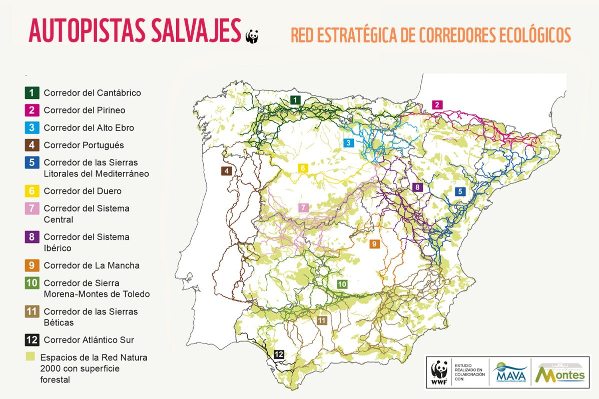 Paisajes fragmentados. WWF ha elaborado un mapa con las 12 "autopistas salvajes" imprescindibles para la circulación de la vida silvestre en la península, y ha identificado los corredores ecológicos que hay que conservar o restaurar de forma urgente para conectar la naturaleza y proteger la biodiversidad. Foto cedida por WWF.