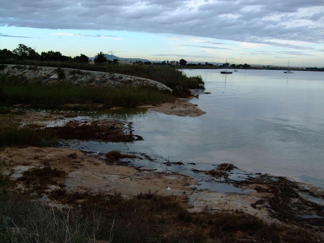Los últimos temporales agravan la "deplorable" situación del Mar Menor.