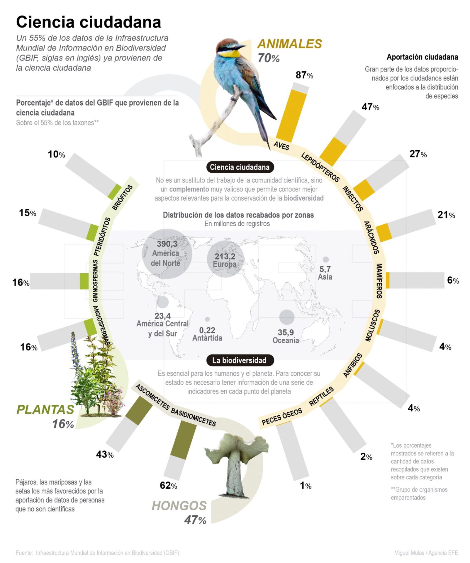 Mas de la mitad de la información sobre biodiversidad procede de ciencia ciudadana. @deunvistazo en @efeverde