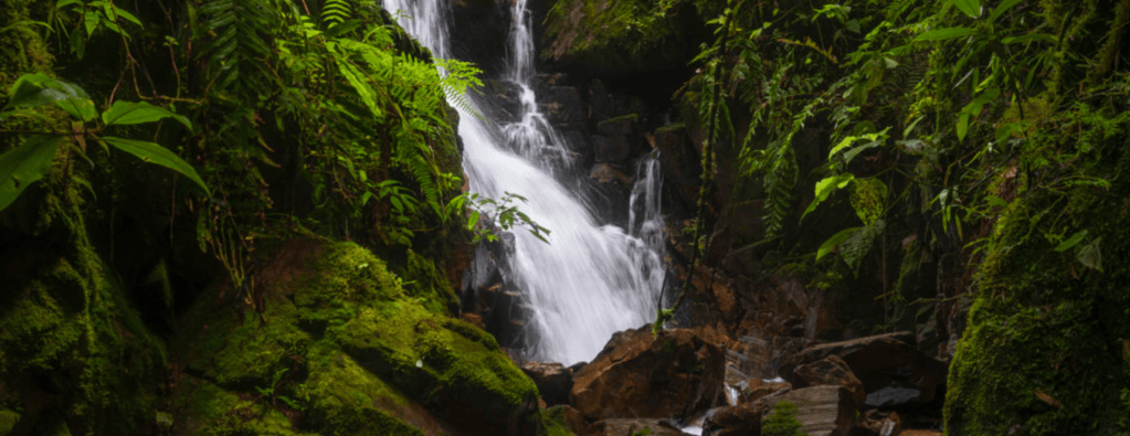 Mongabay latam.- caída de agua en la ACR Chuyapi Urusayhua. Foto: Diego Pérez.