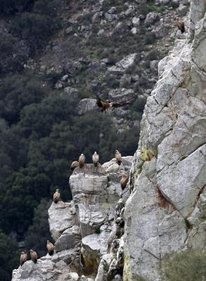 Los resultados muestran que la mayoría de los encuestados (59 %) está a favor de continuar con el crecimiento, ya que puede combinarse con la sostenibilidad ambiental (lo que se conoce como crecimiento verde). 