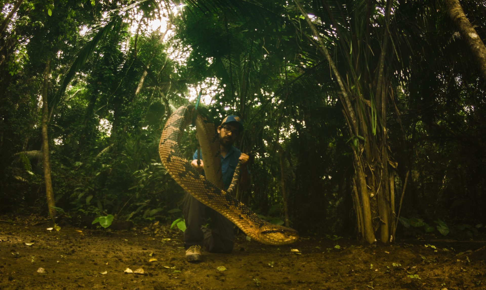 El biólogo peruano Germán Chávez con una serpiente verrugosa o shushupe. Foto: Germán Chávez.