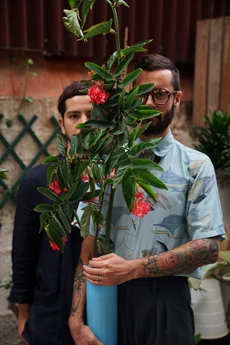 plantas 