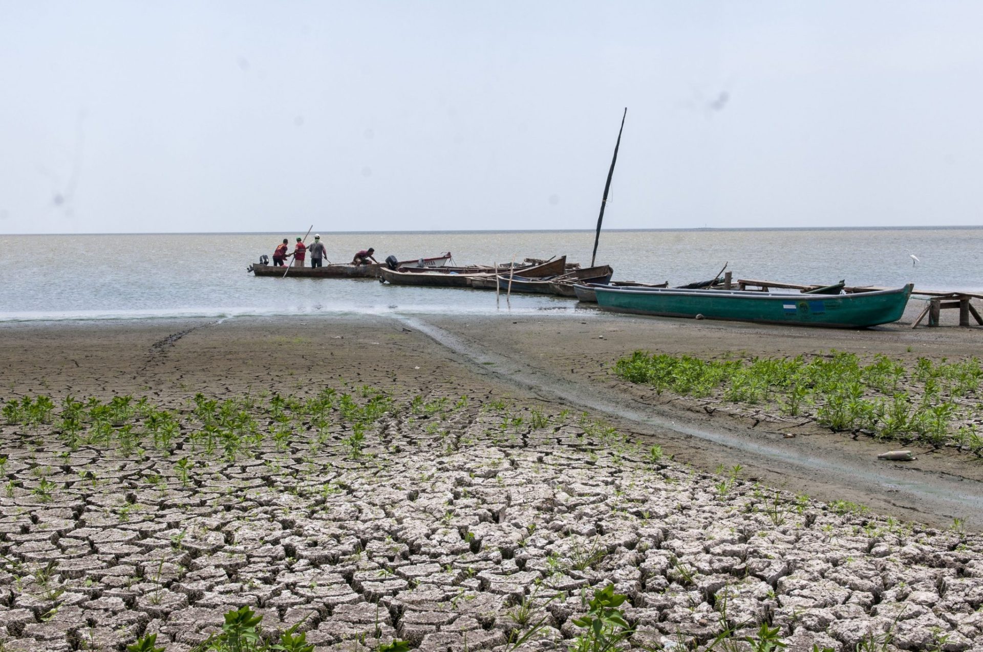 Las aguas del Gran Lago de Nicaragua se han retirado unos 200 metros de su costa por la fuerte sequía.