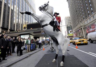 Un jinete monta un caballo lipizano en la Séptima avenida, en Nueva York.