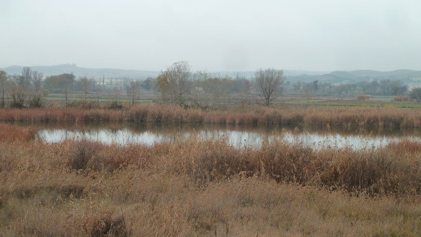 Red Natura 2000. Life infonatur. Foto: Arturo Larena para EFEverde/Lifeinfonatur. La laguna de San Juan y su entorno constituyen una importante zona húmeda del sur de la Comunidad de Madrid, situada en la margen derecha del río Tajuña, en el término municipal de Chinchón, y cuya vegetación presenta una diferenciación clara entre la zona del páramo y el cantíl.