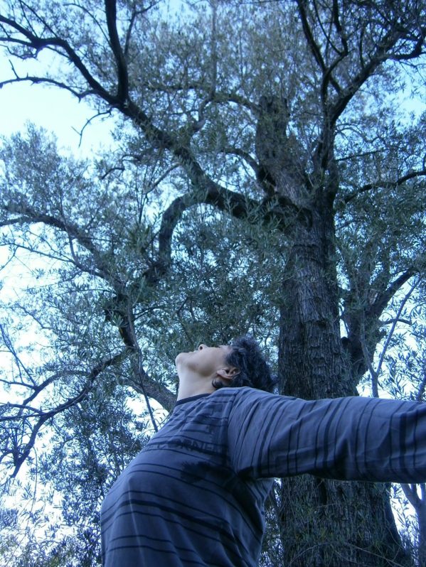 El baño de bosque es un paseo por un espacio restaurador que nos regala sonidos, aromas y múltiples oportunidades para revitalizar nuestros sentidos de manera consciente y con efectos beneficiosos a nivel orgánico, mental y emocional. Foto cedida 