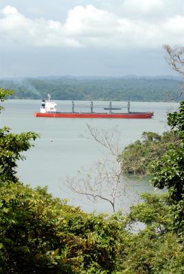 Un buque en la reserva natural de Isla Barro Colorado en el lago Gatún del Canal de Panamá en una foto de archivo. 