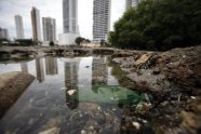 El Humedal Paname o Se Asfixia Entre Lujosos Condominios Y La Contaminaci n