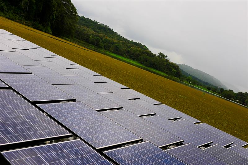 Parte de la red de paneles solares colocada para combatir el cambio climático.