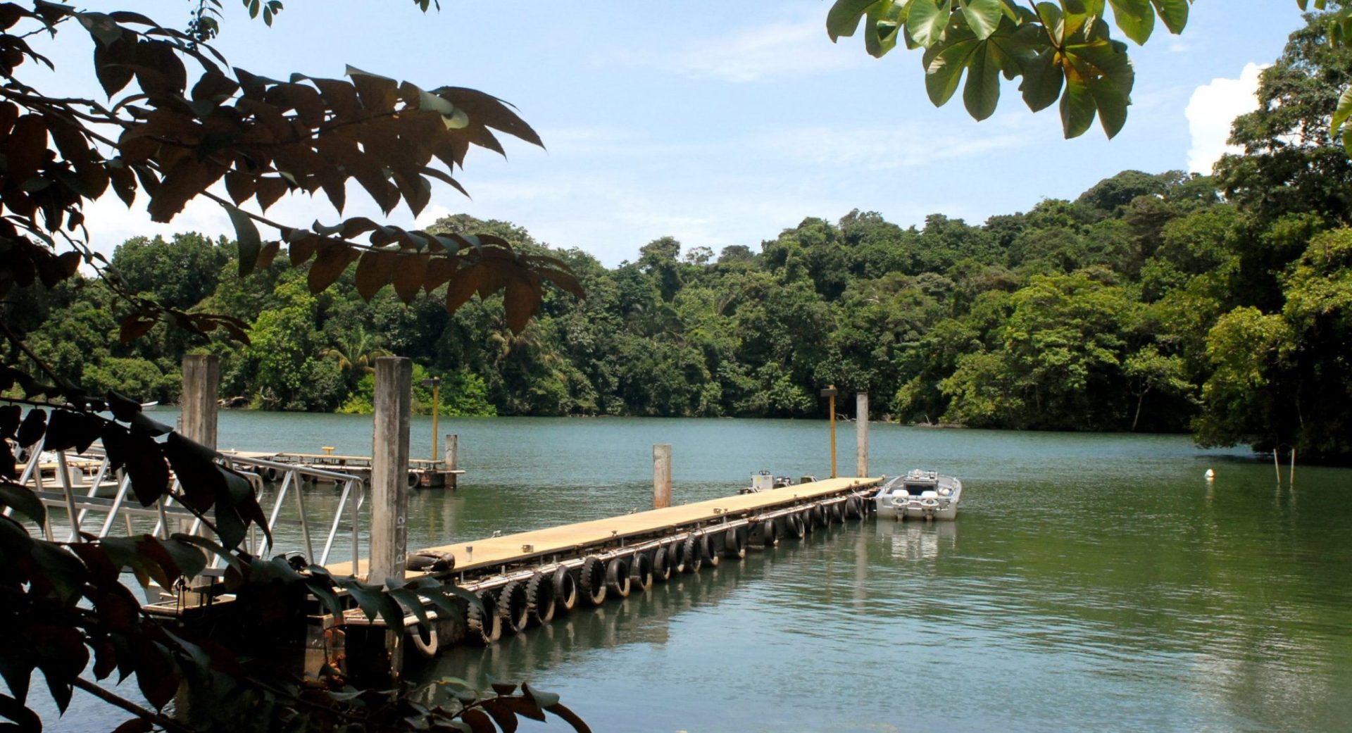 Reserva natural de la Laguna Gatún (Panamá).