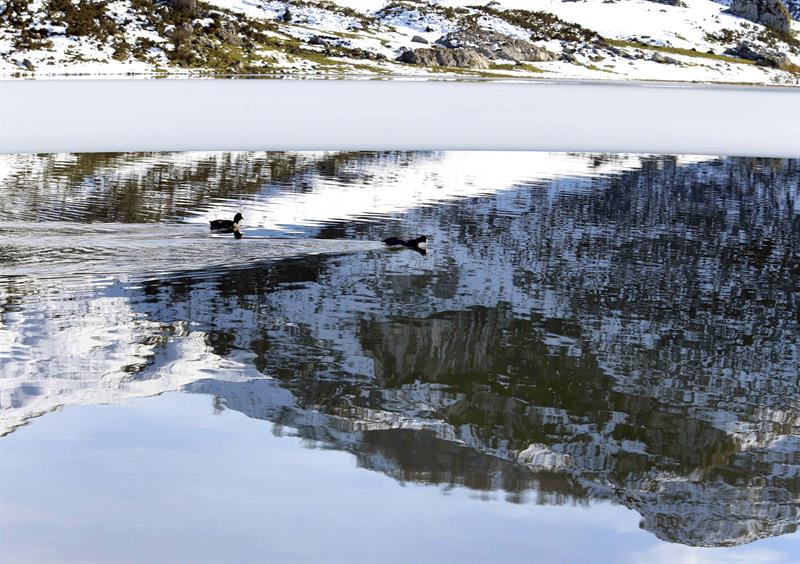 La COP13 analizara la pérdida de los hábitats naturales, la agricultura sostenible y la disminución de las poblaciones de peces. En la foto Parque Nacional Lagos de Covadonga en Asturias (España).