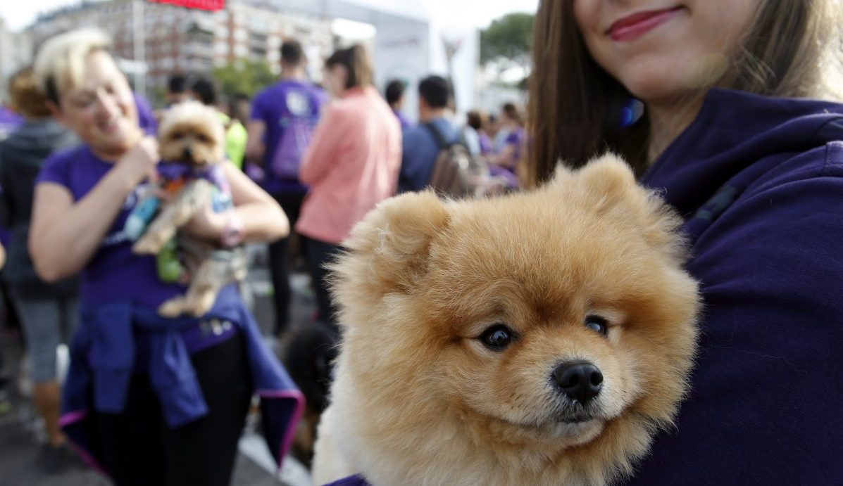 Una joven con su mascota en una imagen de archivo. EFE/Mariscal
