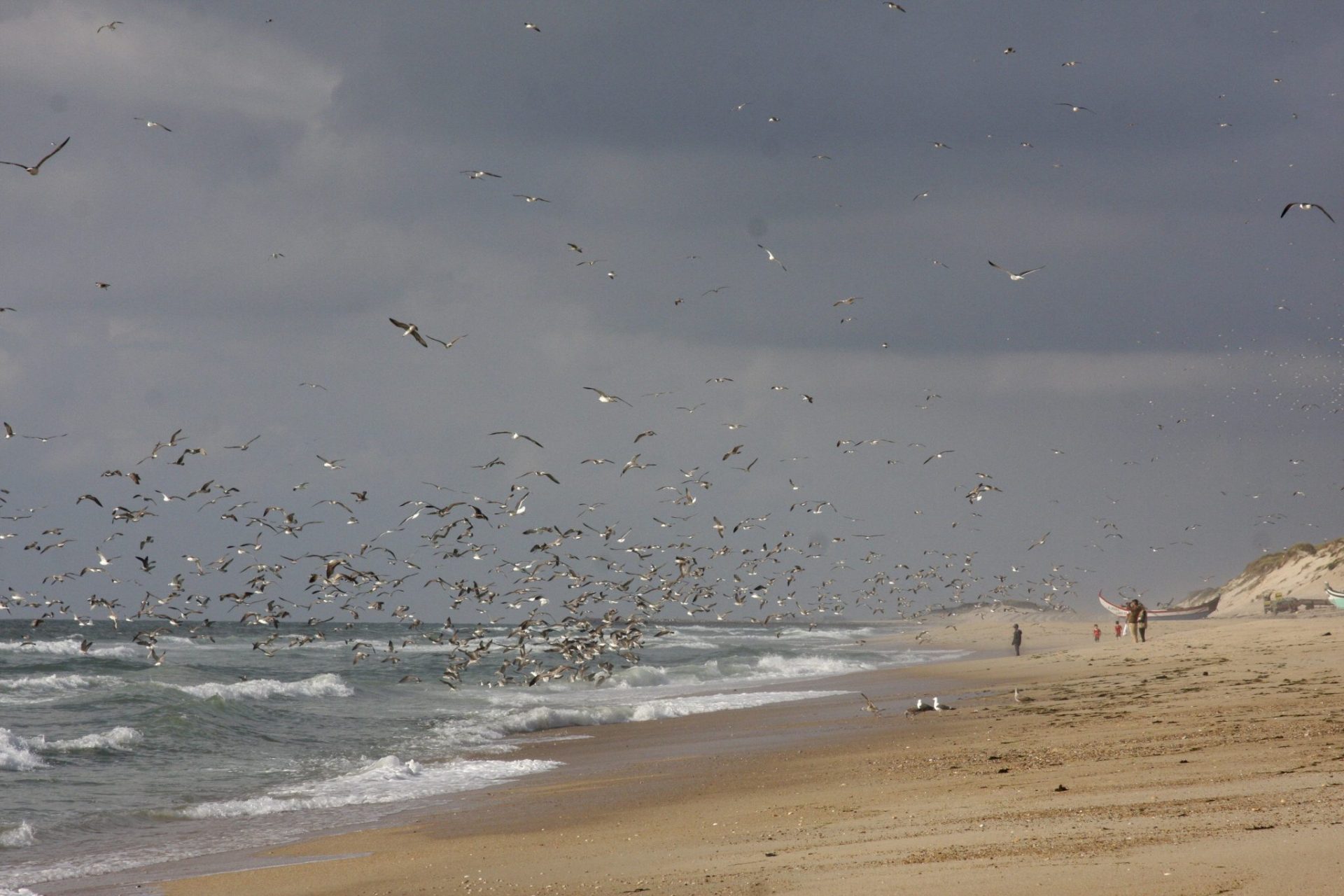 La bandera azul valora las playas europeas en función de la calidad de sus aguas, su vigilancia y seguridad.