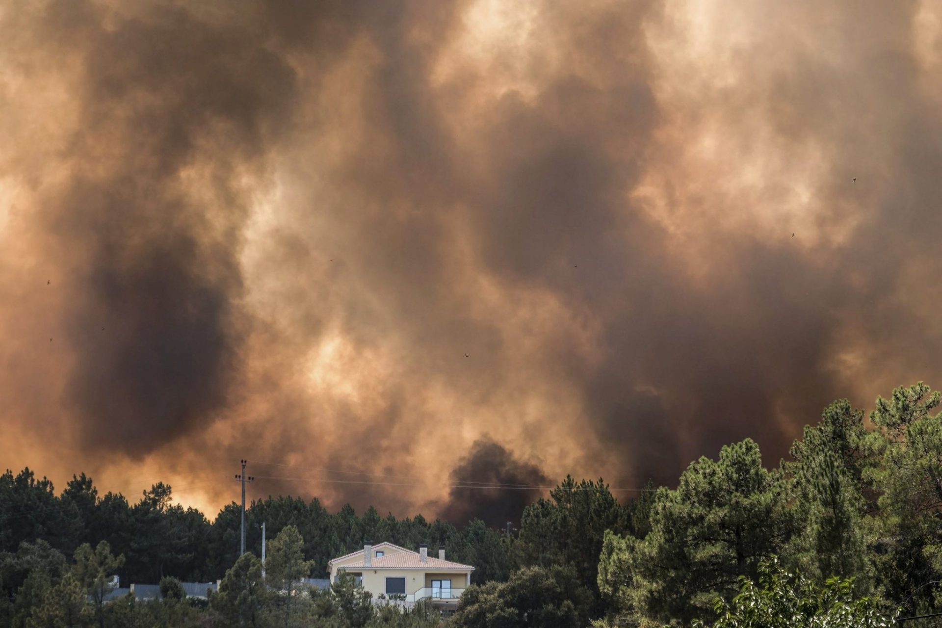 La UME vuelve, por tercera vez este mes a Portugal, a luchar contra un incendio forestal.