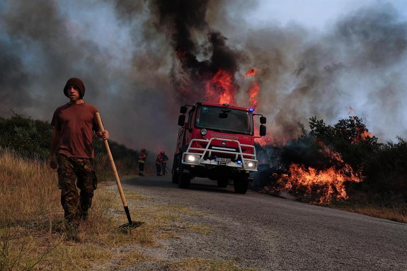 Si se sensibilizara y se formara a la población para proteger la naturaleza, los fuegos dejarían de ser tan frecuentes.