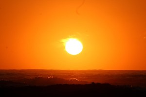 acciones cambio climático