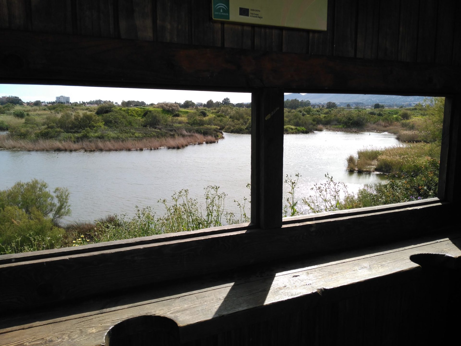 Recuperación de humedales en la desembocadura del Guadalhorce. EFE. Mónica Bautista