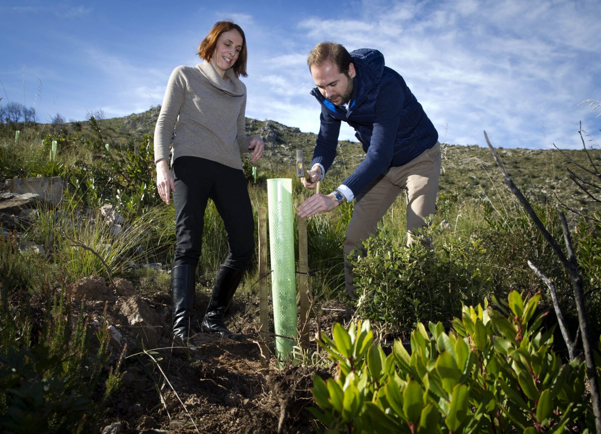 Enmarcados en el proyecto El Bosque de Red Eléctrica en Mallorca El Gobierno balear y Red Eléctrica visitan los trabajos de recuperación forestal de Sa Duaia-Es Recó, en Artá