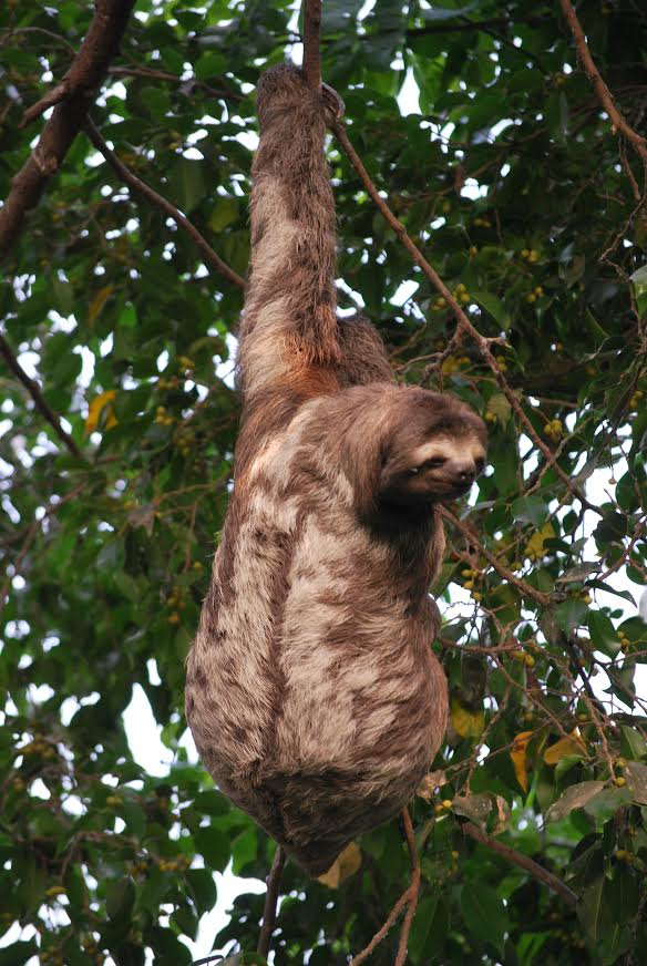 ReservaEcuador2